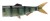 Nadomjestni Rep Daiwa Prorex Hybrid Tail