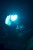 Naglavna svjetiljka Giants Fishing Headlamp LED Luxury 350