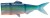 Náhradni Ocásek Daiwa Prorex Hybrid Tail Švedska Plava