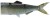 Náhradni Rep DAIWA Prorex Hybrid Tail 3D Baby Smuđ