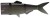 Náhradni Rep DAIWA Prorex Hybrid Tail Ghost Purple Ayu