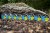 Najlon Giants Fishing Super Power Clear 300m