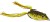 Nástraha Imitujúca Žabu Jaxon Magic Fish Frog 2 7cm 15gr D