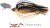 Nástraha Rage Bladed Jig 17gr Black & Gold