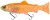 Nástraha Savage Gear 3D Line Thru Pulsetail Trout 16cm 51g Clear Golden Albino