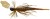 Nástraha Savage Gear Crazy Swim Jig Sinking 10cm 10gr Motor Oil