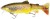 Nástroha Westin Tommy The Trout 25cm 205g Real Trout Slow Sinking