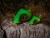 Navojna glava Rage Slick Pelagic Heads Lemon Tiger