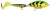 Navojne ušice Rage Strike Point Hitcher Screws
