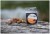 Nit PVA Razgradiva UnderCarp 20m 6-vlaknena