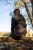 Nohavice Korda Polar Salopettes Dark Kamo