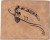 Novčanik Giants Fishing Brown Wallet Swimming Carp