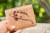 Novčanik Giants Fishing Brown Wallet Swimming Carp