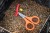 Nožničky Guru Rig Scissors