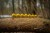 Olovo Black Cat Cat Ball Yellow