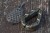 Olovo Korum Bait Gripper Leads