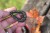 Olovo Korum Bait Gripper Leads