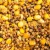Partikel Sportcarp Ready Particle 1,5l Mix
