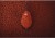 Pelete Chytil Method Feeder 2mm 750gr