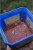Pelete Chytil Method Feeder 2mm 750gr