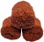 Pelete DK Fishing Red Halibut 20mm 2,5kg