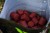 Pelete Nikl Strawberry 1kg