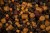 Pelety Mainline Spod & PVA Pellet Mix 2kg