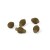 Perlice Matrix Quick Change Feeder Beads