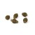 Perlice Matrix Quick Change Feeder Beads