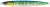 Pilker Westin Flashin' Anchovy 60g 12cm Sardina
