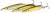 Plandavka Westin F360° 9cm 26gr Chartreuse Diamond