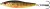 Plandavka Westin Goby V2 Brook Trout Fry 7,5cm 18g