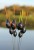 Plovak Drennan AS7 Pole Float