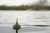 Plovak Fox Edges Zig Float Kit