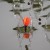 Plovak Gardner Marker Seeker Float