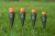 Plovak Korum Glide Speci Stick