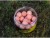 Plovoucí Boilie Carp Only Hi-Visual Red Diablo Pop-Up 80gr