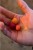 Plovoucí Kouřové Boilies Chytil 15mm 35gr