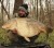 Plovući Boilies Black Carp Pop-Ups 12mm 50gr