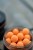 Plovući Boilies KWO Pop-Ups Scopex