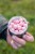 Plovući Boilies KWO Winter Pop-Ups MH Specials