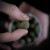 Plovući Boilies Munchbaits Bio Marine Pop-Ups