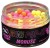 Plutajući Boilies Black Carp Mini Pop-Up 8mm 30gr Moruše