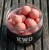 Plutajući Boilies KWO Pop-Ups Spice Specials