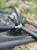 Plutajući Podmetač Fencl CARP CLASSIC 105cm/2m - Gumirana mreža