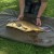Podloška Avid Carp Revolve Folding Flat Mat
