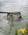 Podmetač Glava Matrix Carp Scoop Landing Net