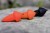 Podvodni Plovak Black Cat Mushroom U-Float Black