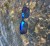 Polarizacijske naočale Giants Fishing Polarized Glasses Deluxe