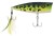 Popper Berkley Bullet Pop FL 8cm 14gr Žaba